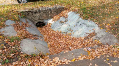 Фото 7.jpg Фото 7.jpg